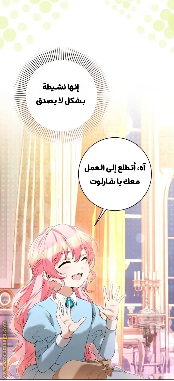 الصفحة 12