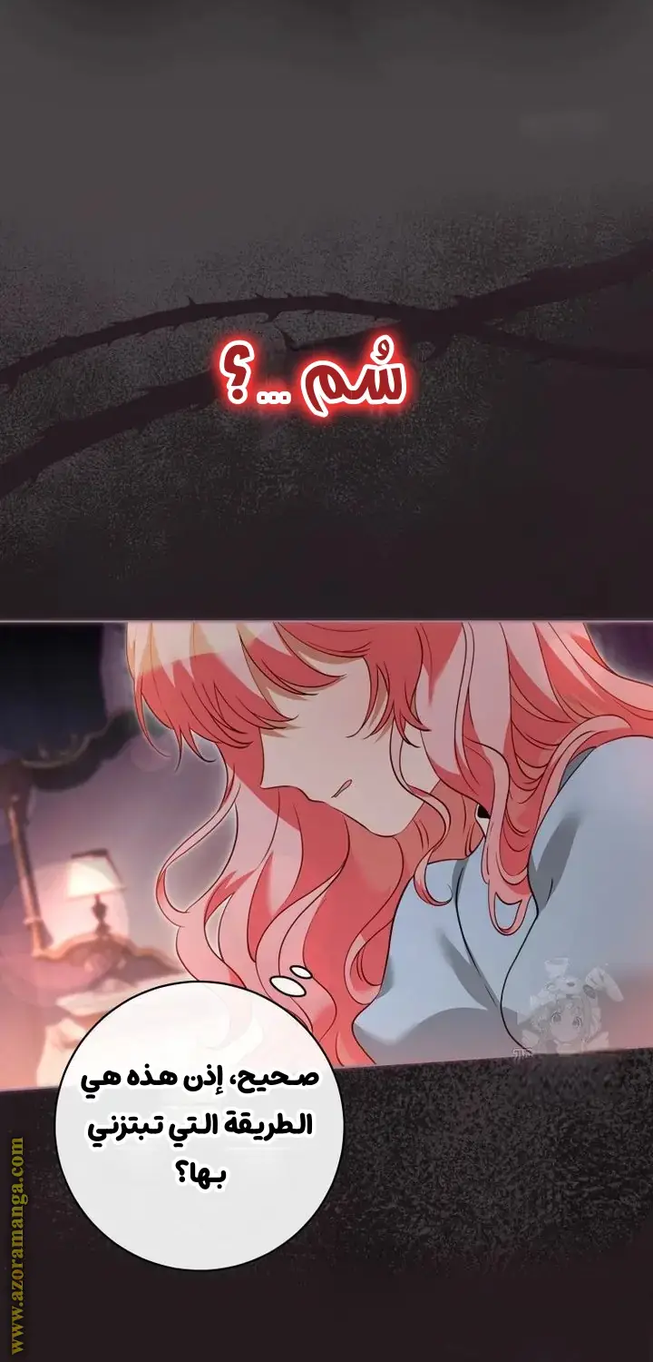 الصفحة 23
