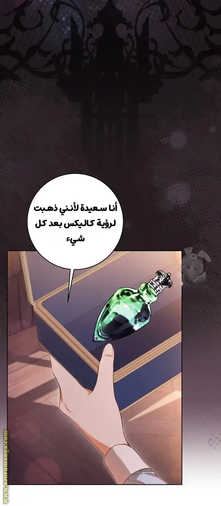 الصفحة 25