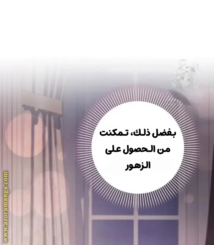 الصفحة 26