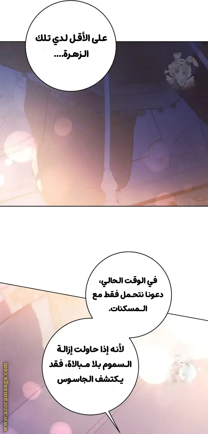 الصفحة 27