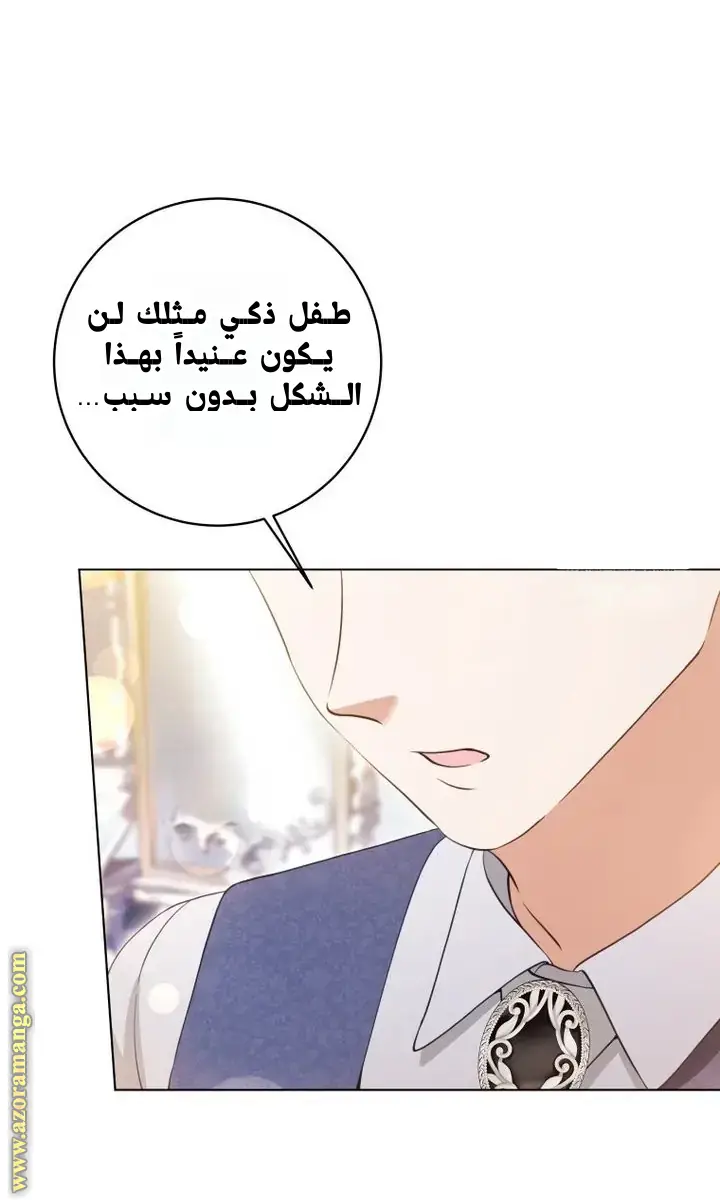 الصفحة 47