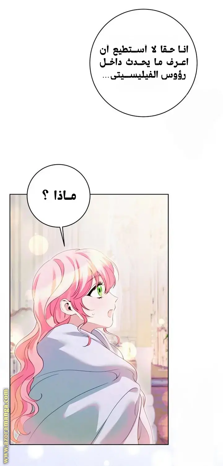 الصفحة 48