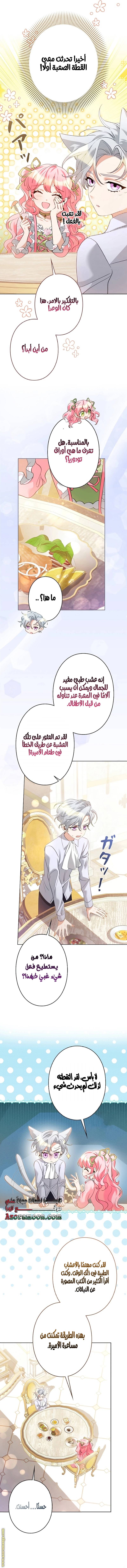الصفحة 8