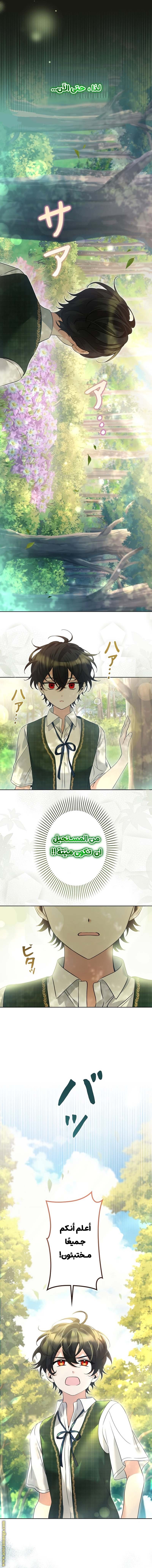 الصفحة 5