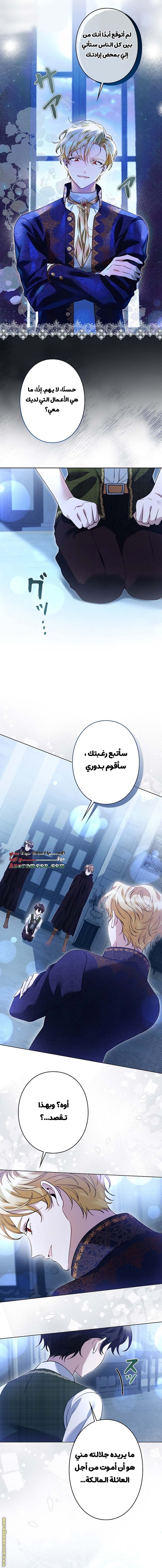 الصفحة 13