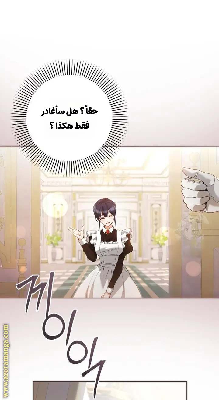 الصفحة 19