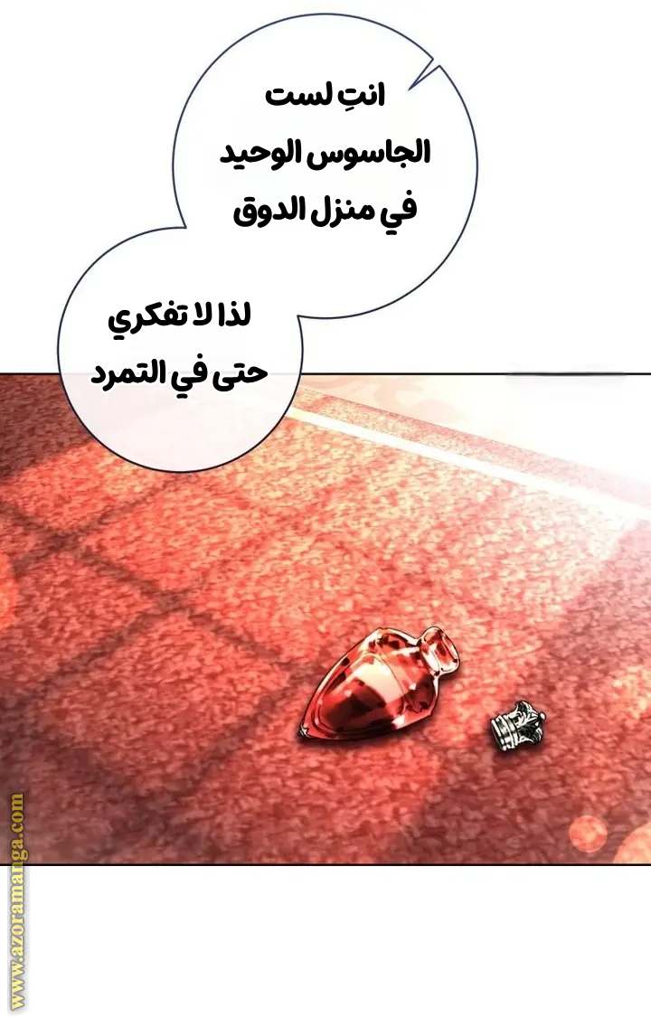 الصفحة 40