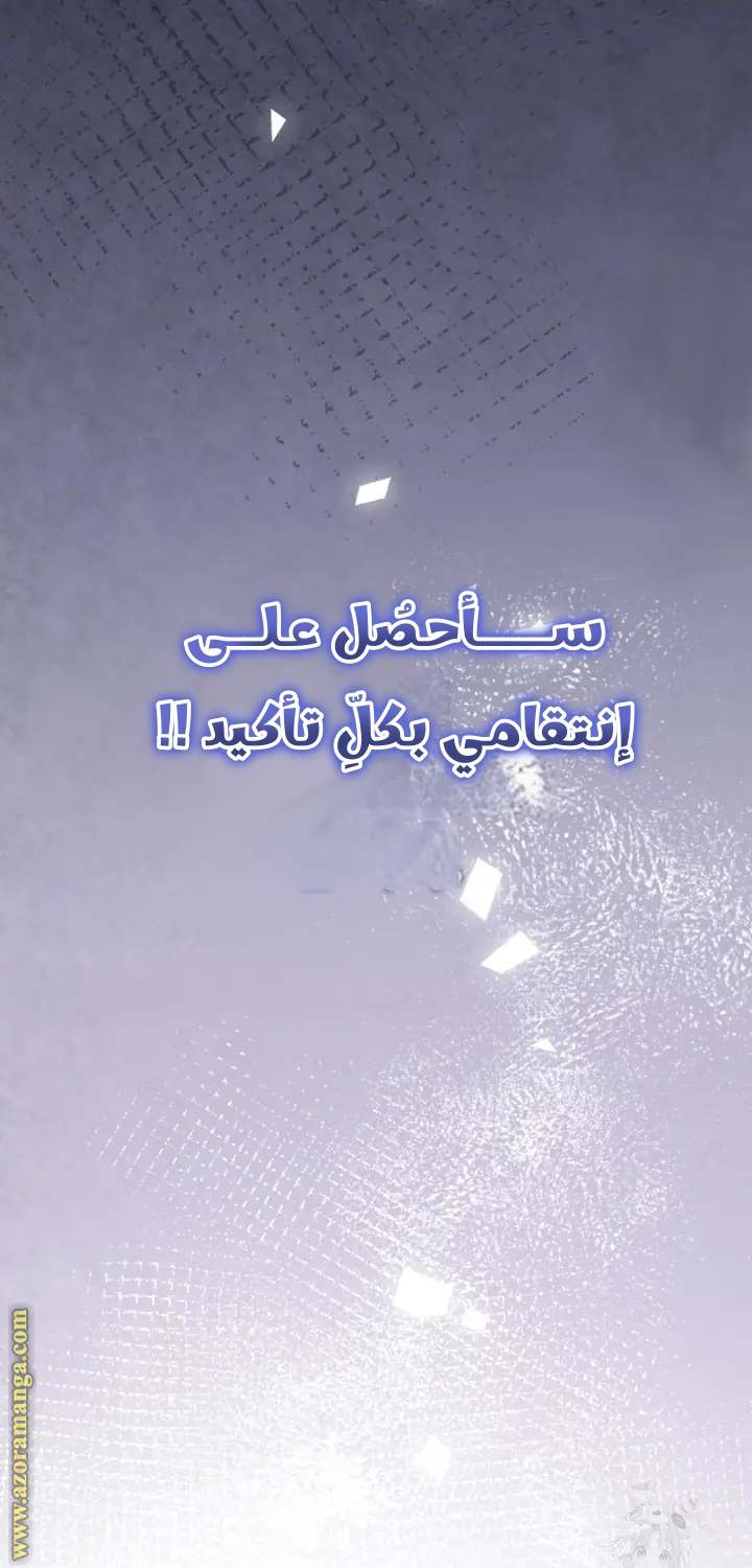 الصفحة 45