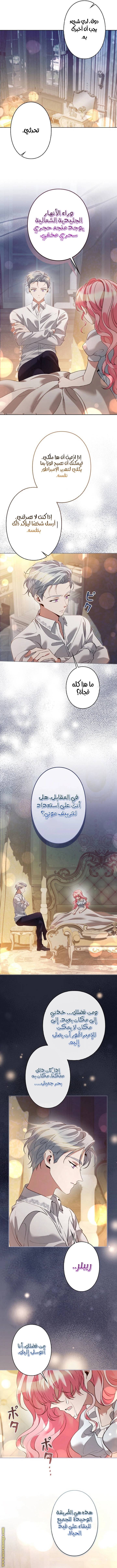 الصفحة 4