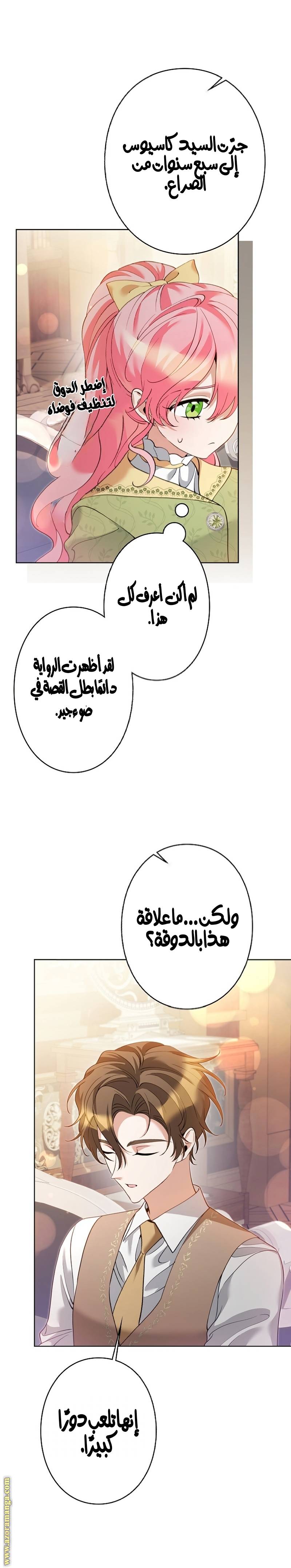 الصفحة 17