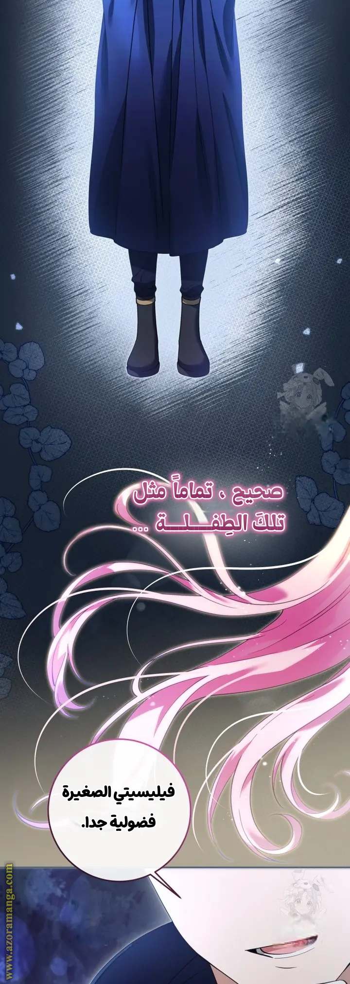 الصفحة 27