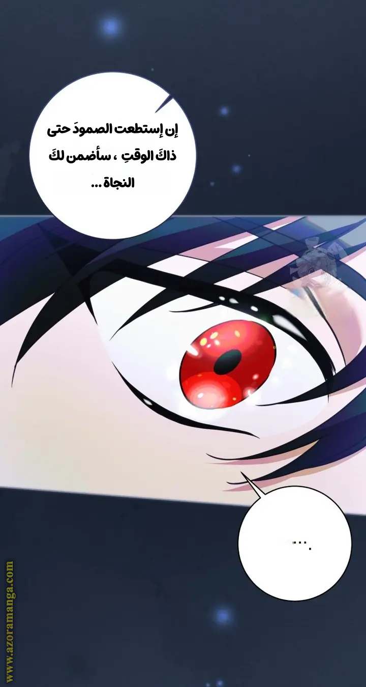 الصفحة 31