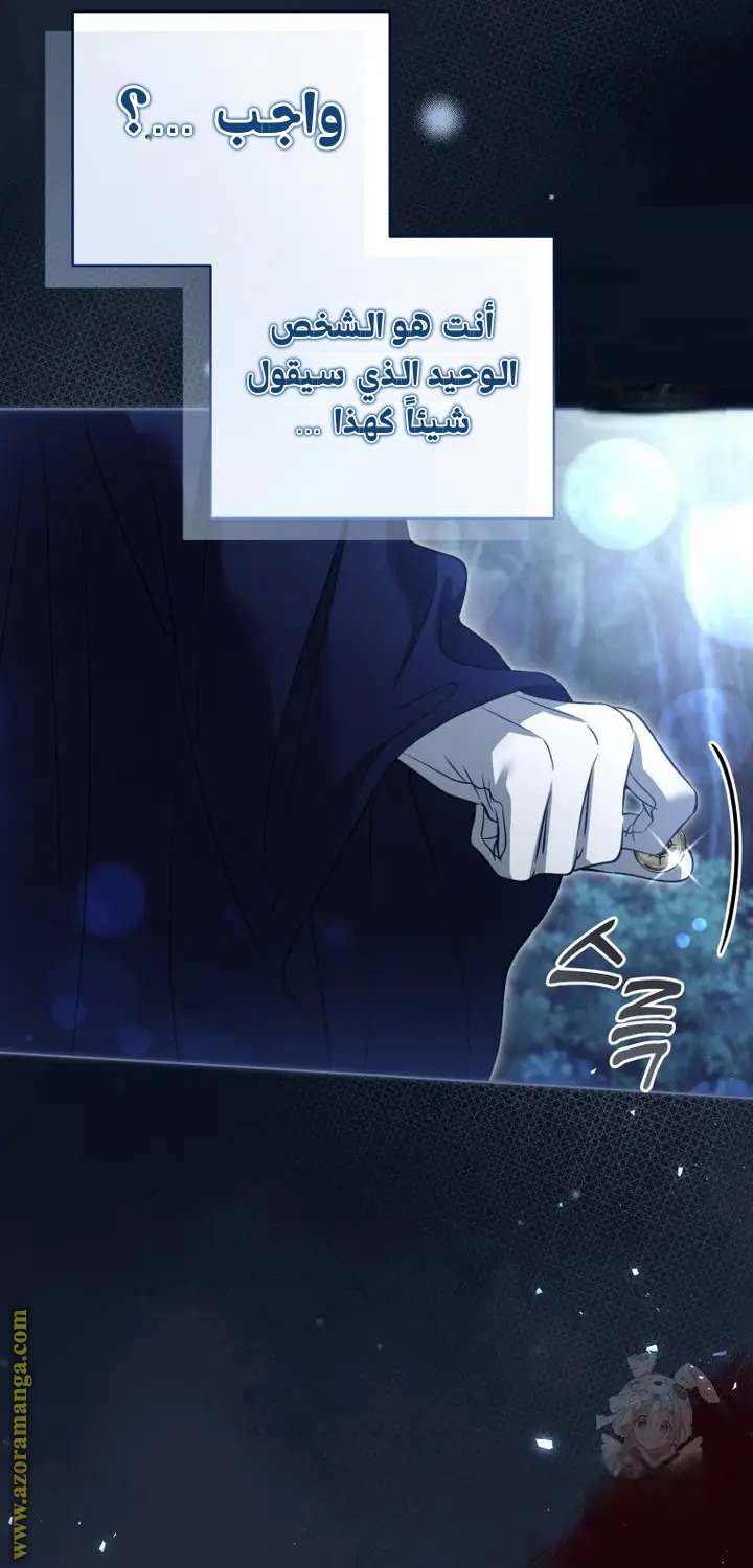 الصفحة 37