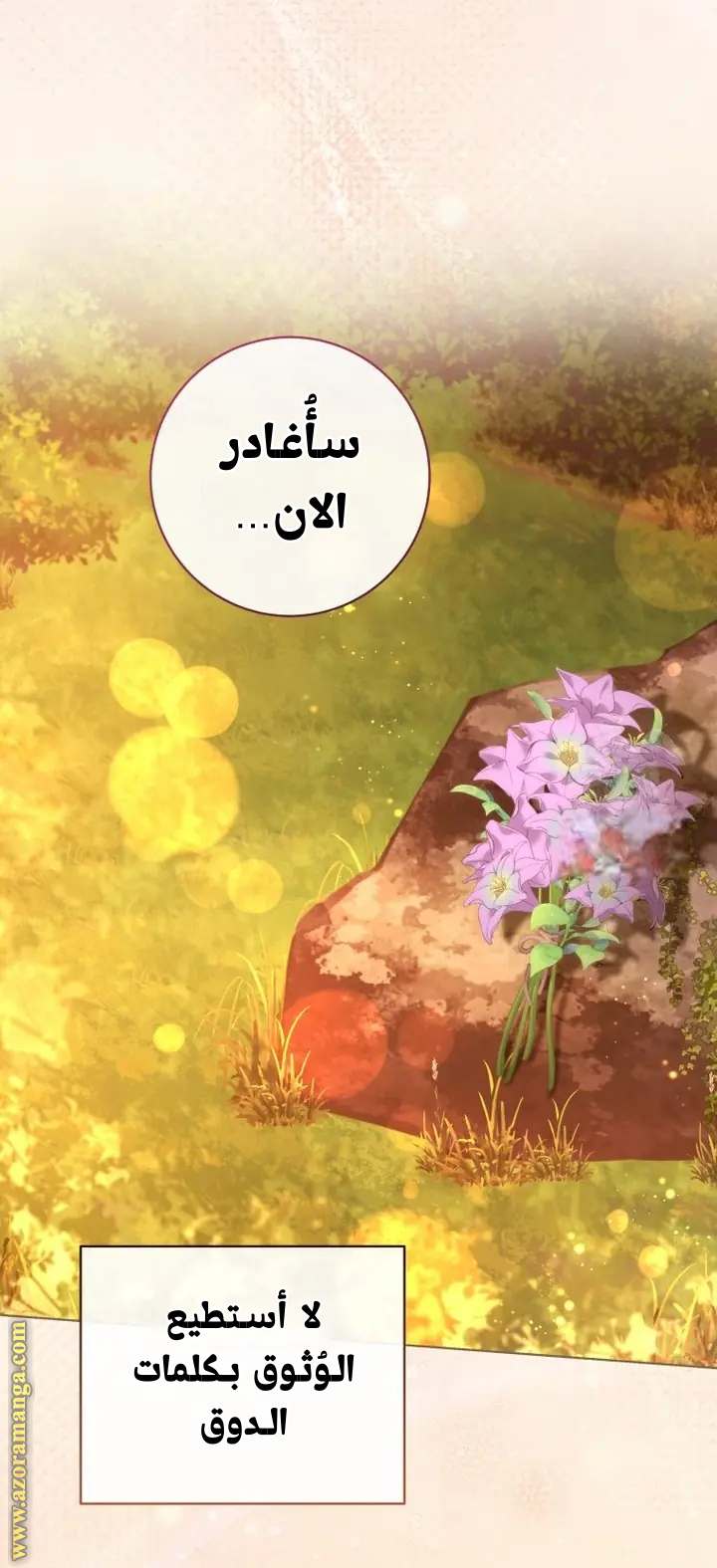الصفحة 42