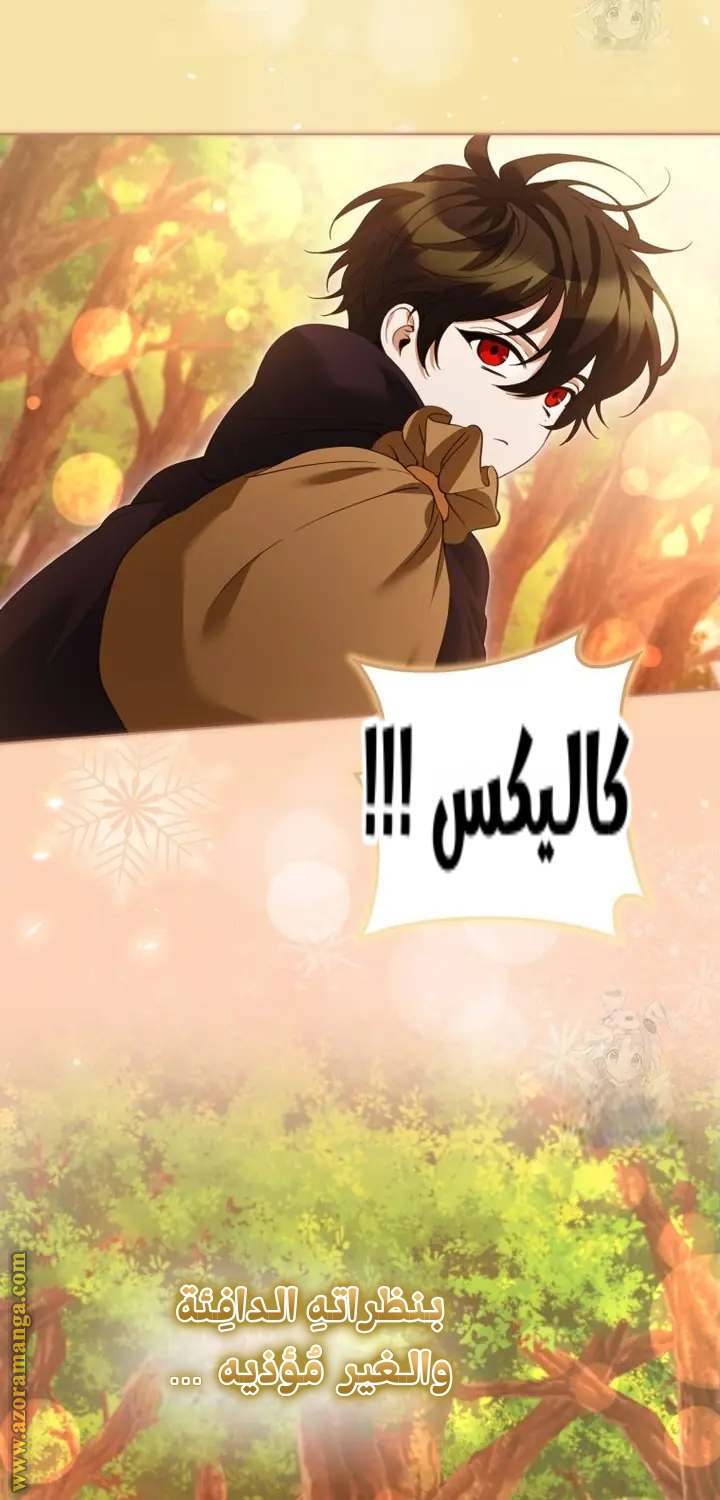 الصفحة 45