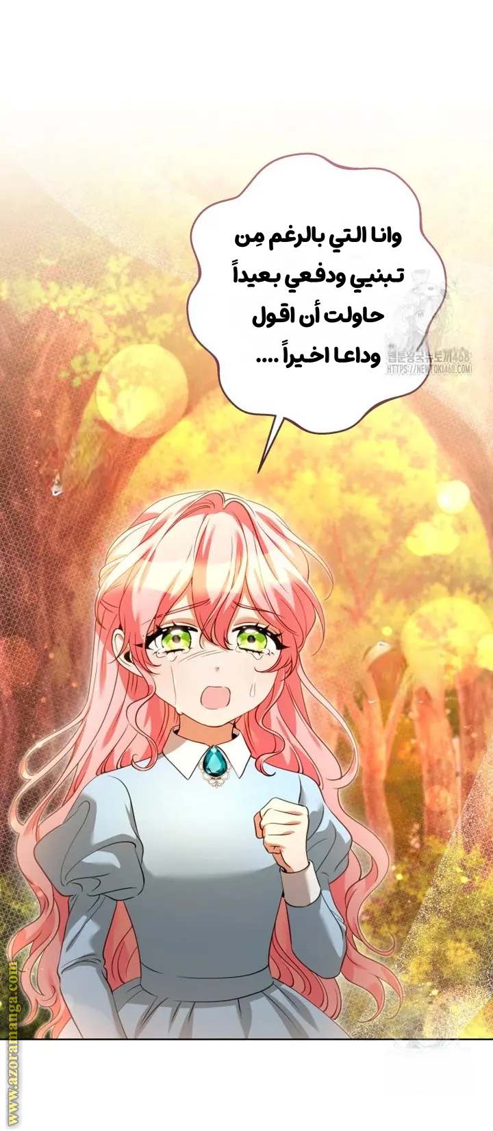 الصفحة 51