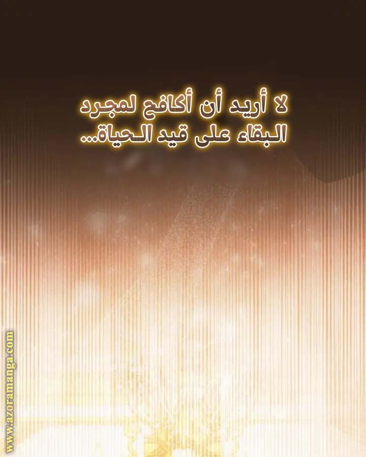 الصفحة 73