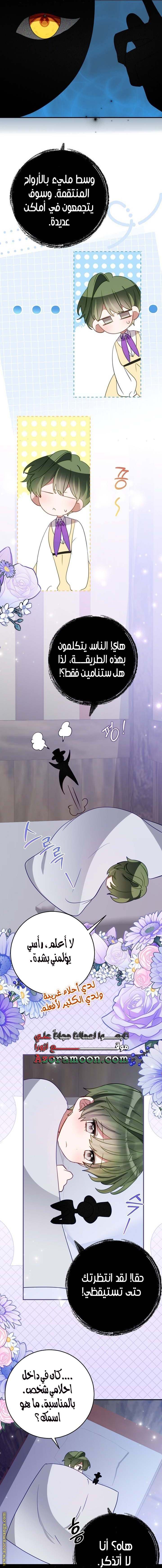 الصفحة 11