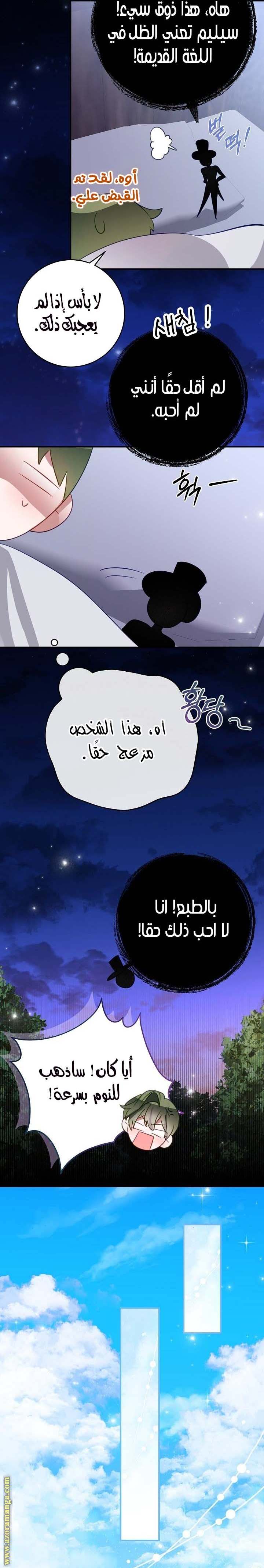 الصفحة 13