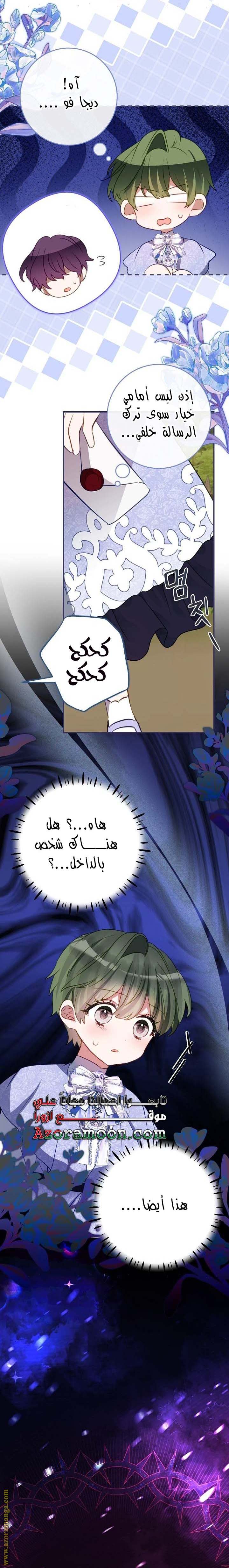 الصفحة 17