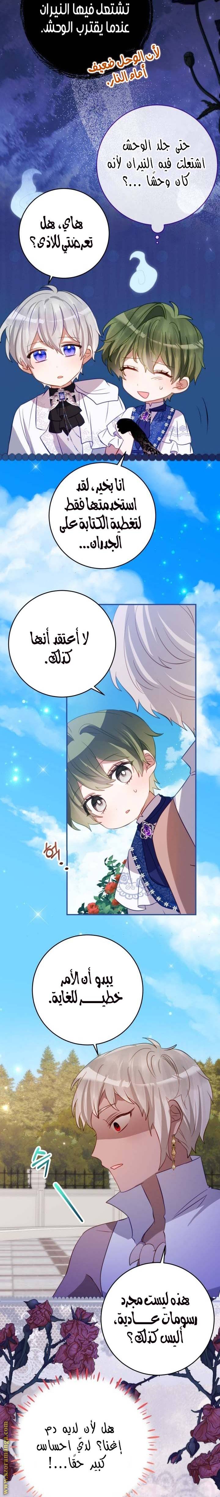الصفحة 12