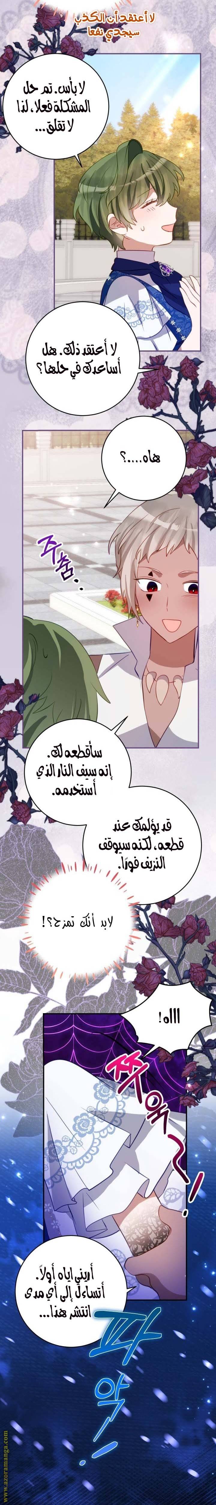 الصفحة 13