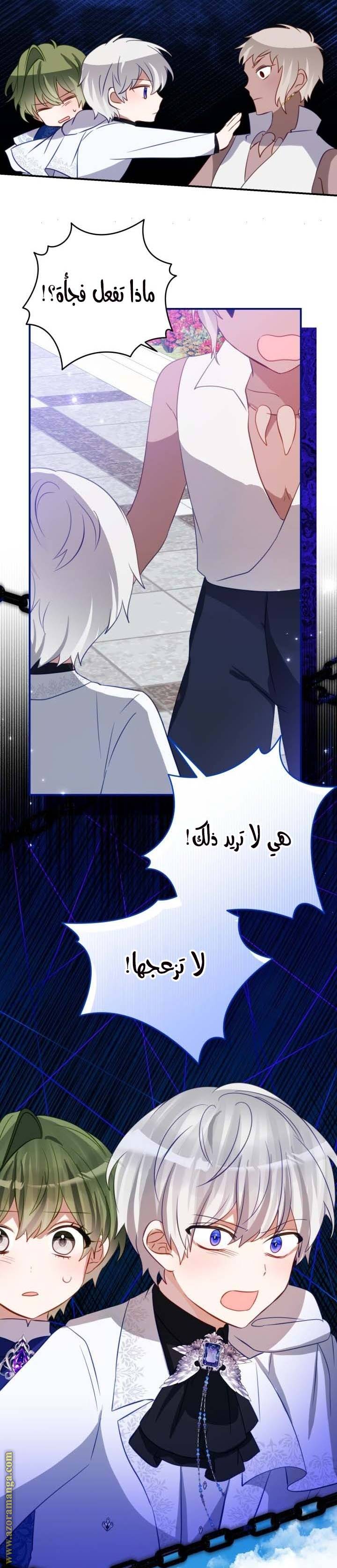 الصفحة 14