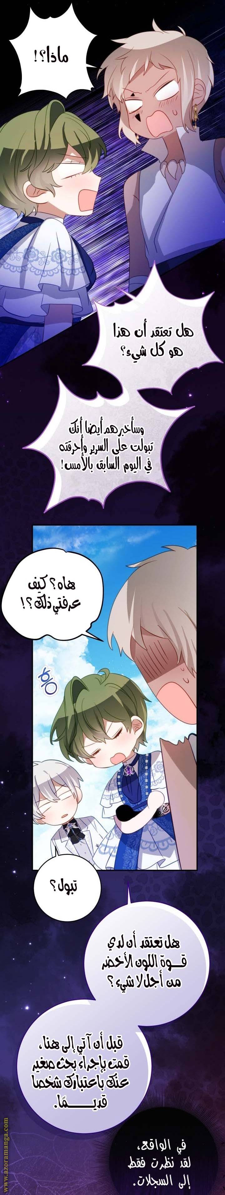 الصفحة 17