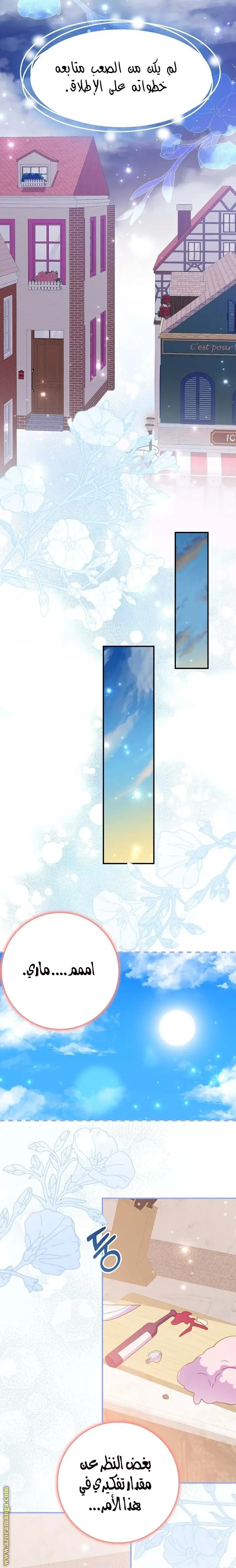 الصفحة 17