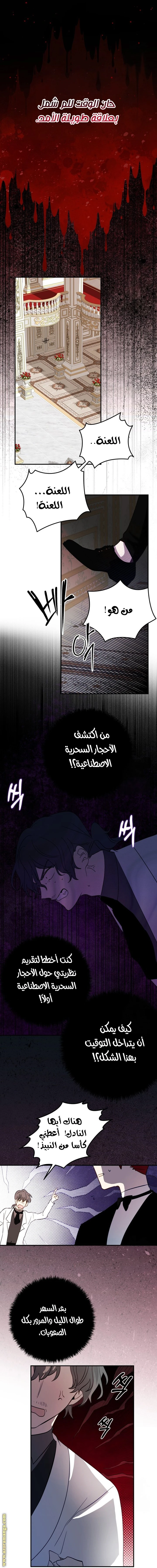 الصفحة 8