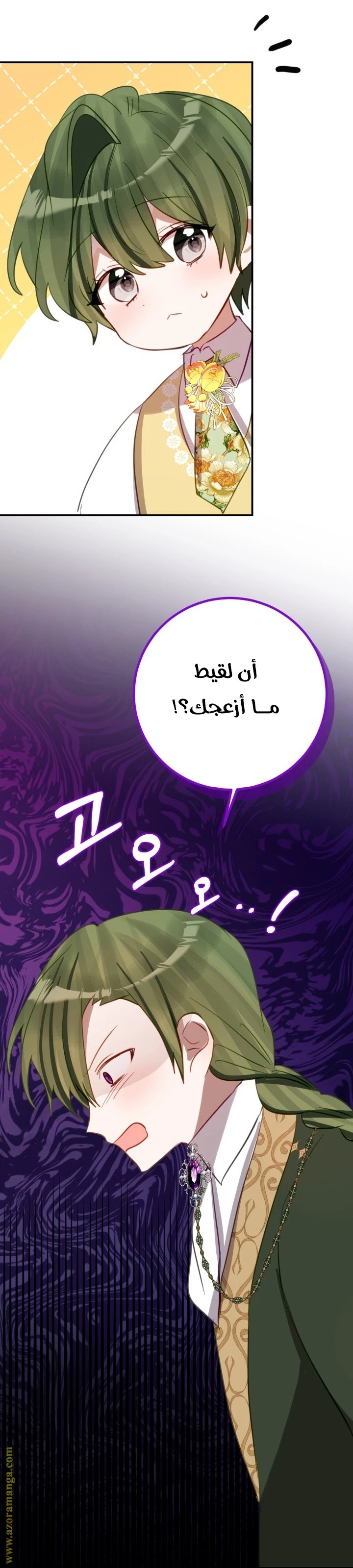 الصفحة 17