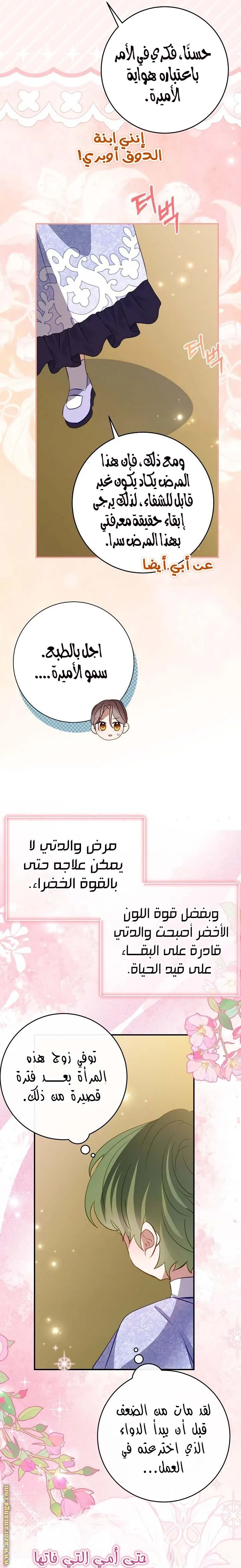 الصفحة 13