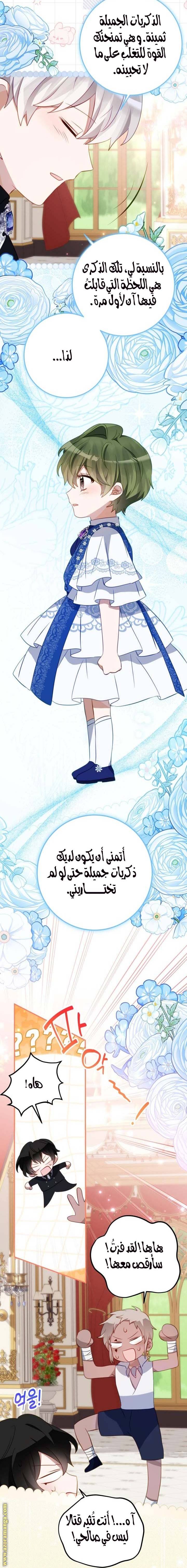 الصفحة 12