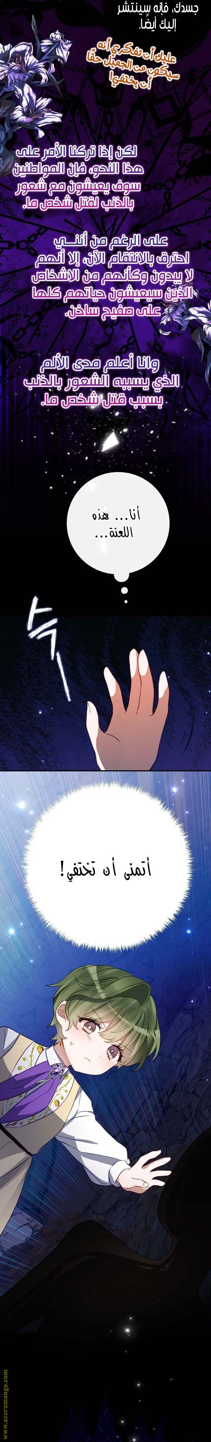الصفحة 17