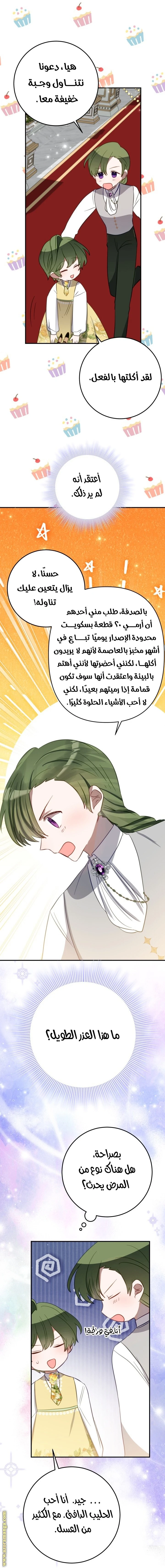 الصفحة 12
