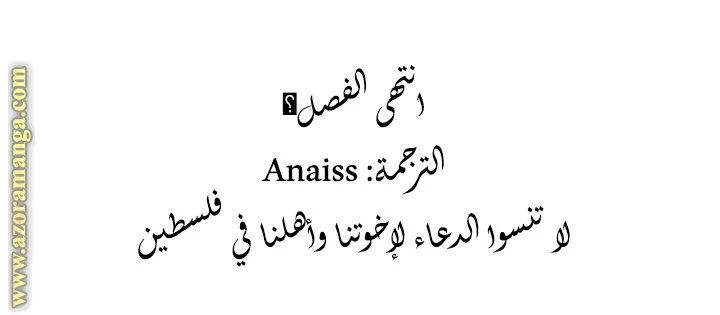 الصفحة 17