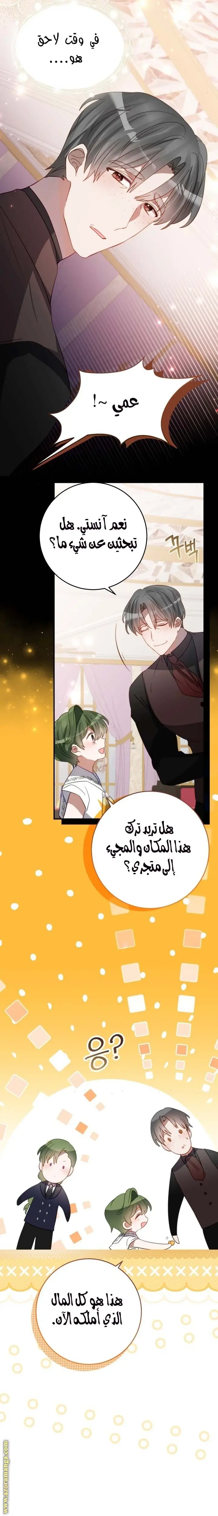 الصفحة 13