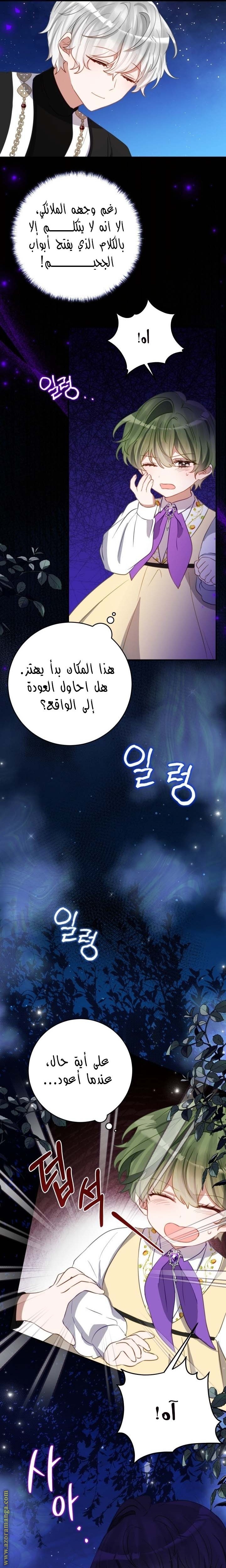 الصفحة 11