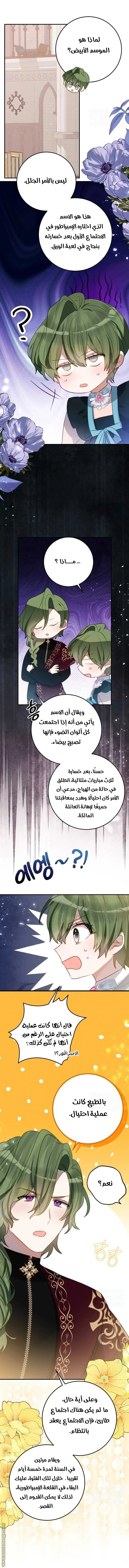 الصفحة 6