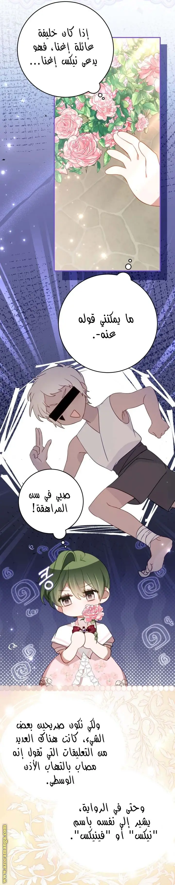 الصفحة 11