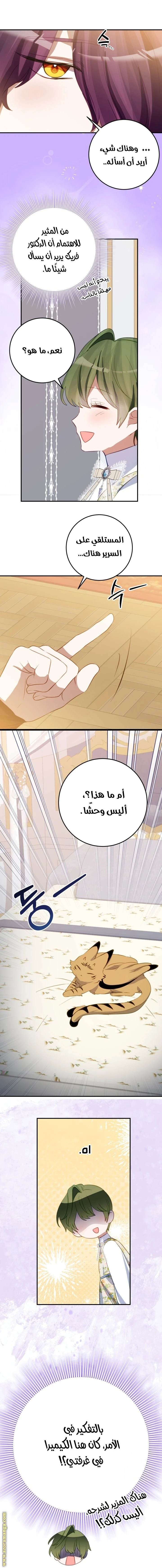 الصفحة 13