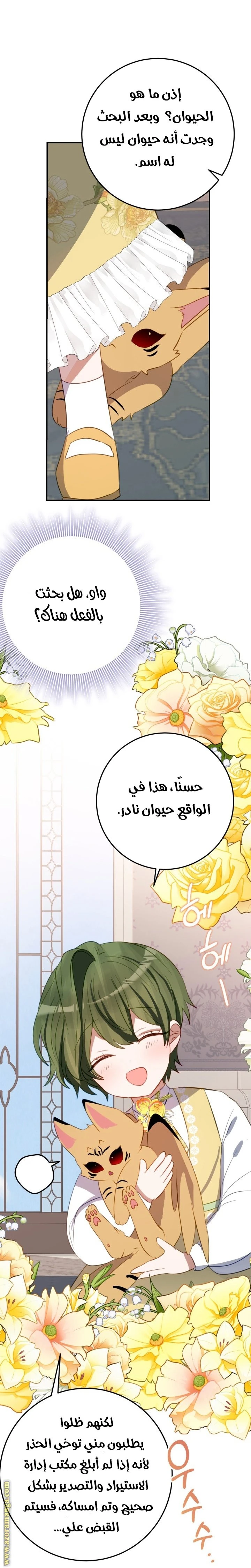 الصفحة 8