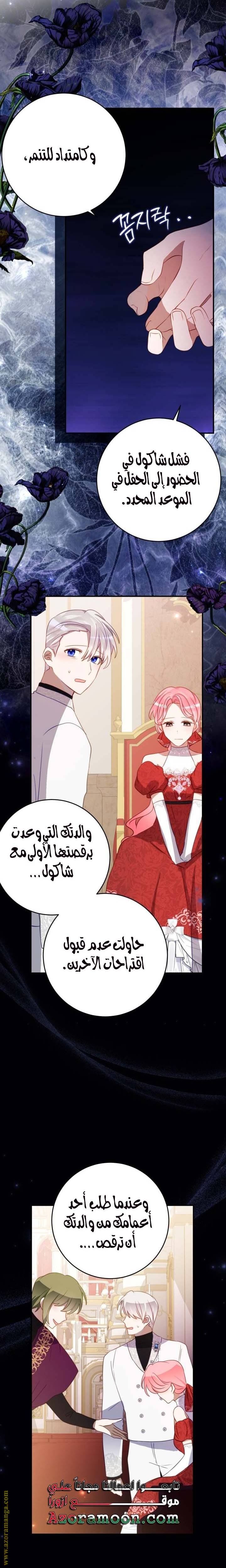 الصفحة 13