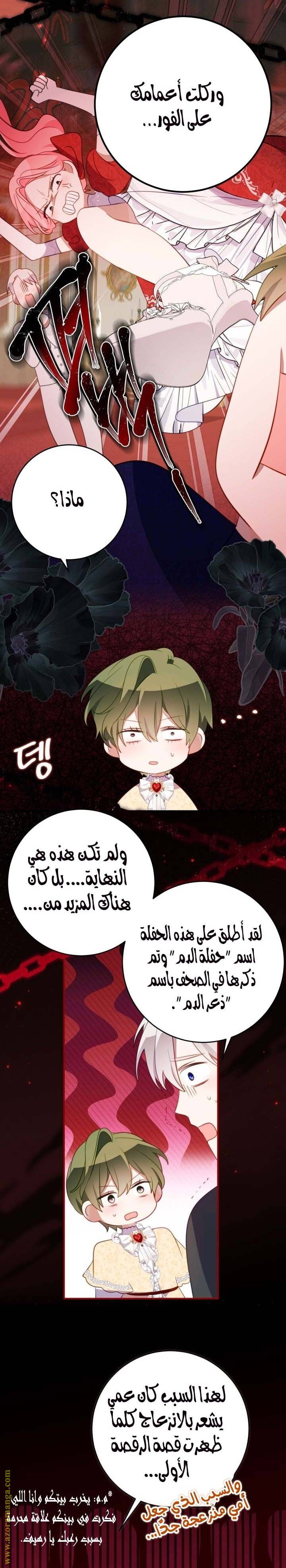 الصفحة 17