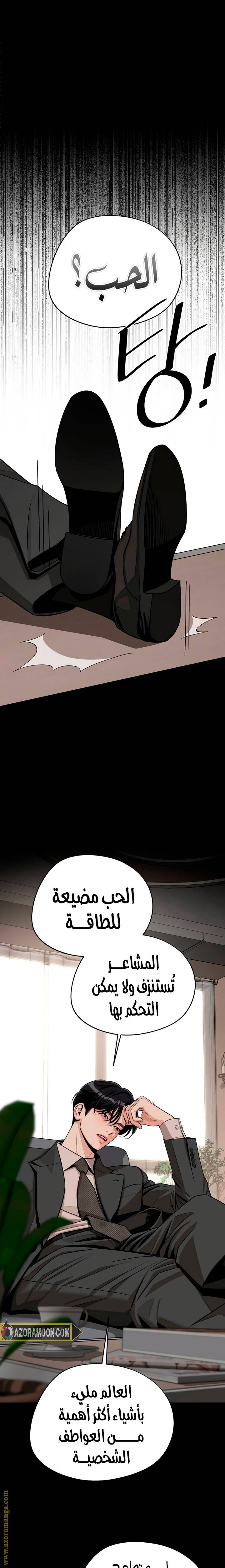 الصفحة 13