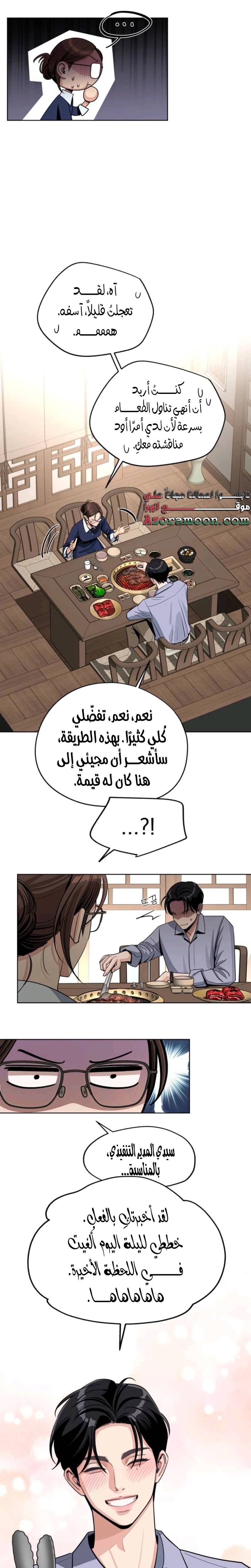 الصفحة 13