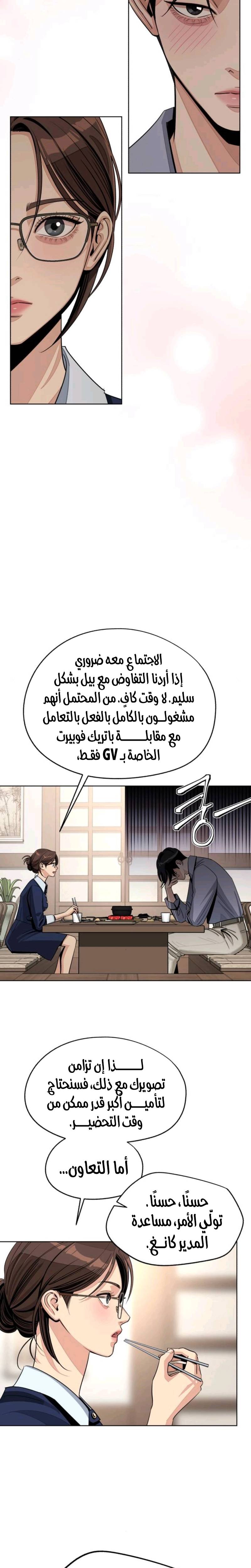 الصفحة 17