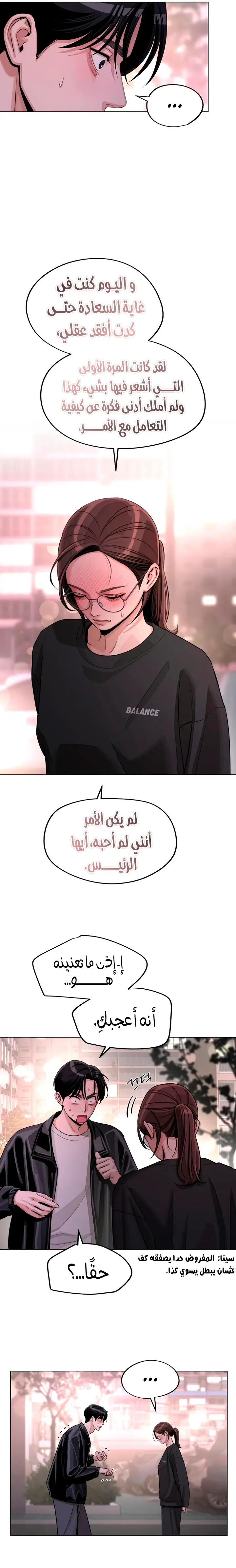 الصفحة 17