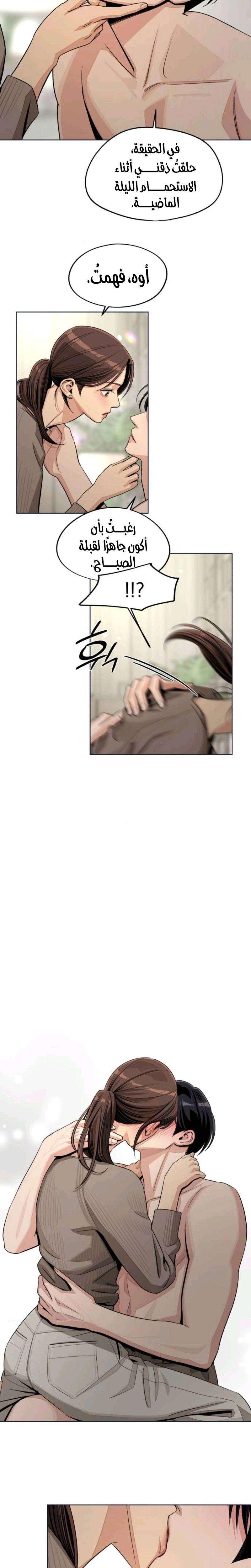 الصفحة 13